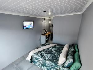 a bedroom with a bed and a tv on a wall at 284 On Circular 4 in Gqeberha