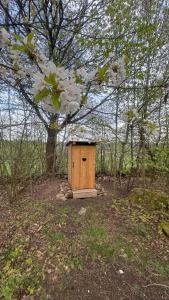 Zahrada ubytování Tiny house Modřínka