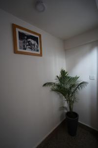 Fotografie z fotogalerie ubytování Artelier's Home v destinaci Patan