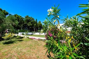 Vonkajšia záhrada v ubytovaní Villa Christina