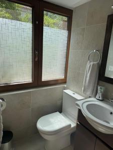 毕达哥利翁Pythaïs Hotel的一间带卫生间和水槽的浴室以及两个窗户。 更多37张照片