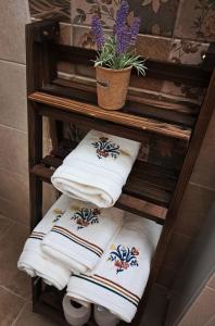a wooden rack with towels and a potted plant at Hidden House Moieciu in Moieciu de Jos +8 photos
