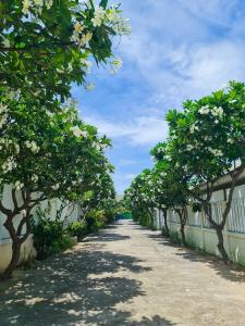 a tree lined road with white flowers and trees at Tropical 2 Bedroom Pool House In Central Location in Hua Hin