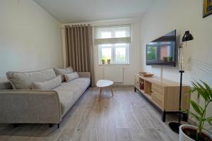 TV a/nebo společenská místnost v ubytování Soft Apartamenty na Starówce