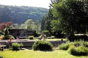 Przyroda w pobliżu tego obiektu B&B