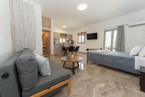 una sala de estar con una cama y un sofá en Studio Elpida Santorini, en Vóthon