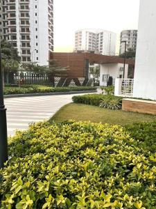 Κήπος έξω από το Condo By The Golf !