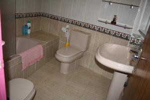 a bathroom with a toilet and a sink at Apartamento Benabarre Huesca in Benabarre