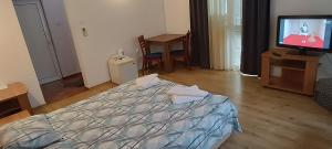 TV a/nebo společenská místnost v ubytování Matev Hotel