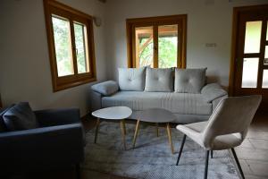 Gallery image of Vila Fruškica in Vrdnik +29 photos