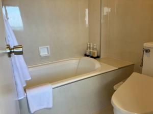 IgeiにあるGolden Sun Beach Hotel - Vacation STAY 27721vのバスタブとトイレ付きのバスルーム +19枚の写真