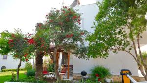 Billede fra billedgalleriet på Sea & Nature & Joy i Bozyazı + 43 billeder