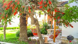 Billede fra billedgalleriet på Sea & Nature & Joy i Bozyazı