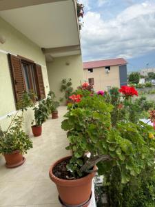 a balcony with potted plants on a building at Spacious Triple Room with Balcony in Kamëz +4 photos
