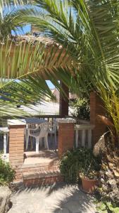 a patio with a table and chairs and a palm tree at Ca La Montserrat - Wine Rural House in San Martín Sarroca +10 photos