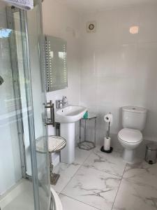 a bathroom with a toilet and a sink and a shower at Brooke Lodge Guesthouse in Magherafelt +29 photos