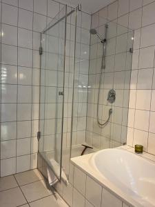 a bathroom with a shower and a bath tub at Ferienwohnung am Wald in Hachenburg +53 photos
