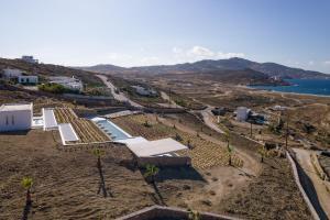 Gallery image of Ftelia Project in Panormos Mykonos