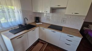 Kuchyň nebo kuchyňský kout v ubytování Apartman Mario