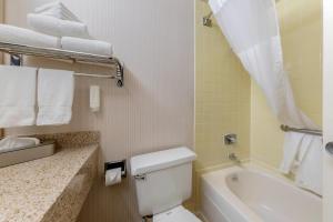 Koupelna v ubytování Clarion Hotel Anaheim Resort