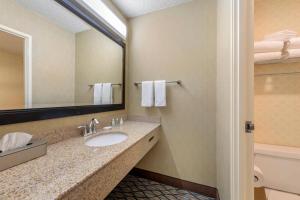 Koupelna v ubytování Clarion Hotel Anaheim Resort