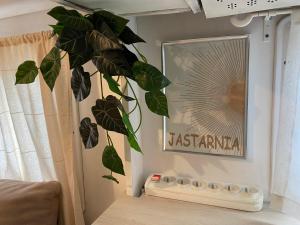 亚斯塔尔尼亚Przyczepa Surfzen Jastarnia的相册照片