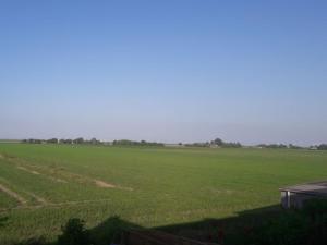 ein großes grünes Feld mit einem Gebäude im Vordergrund in der Unterkunft Ferienwohnung Schmettau in Nordstrand + 3 Fotos