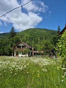 a field of flowers in front of a house at Котедж "Хата край села" in Tatariv