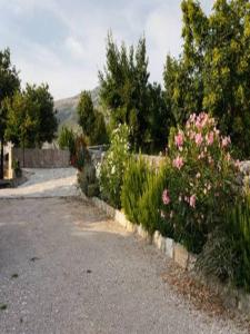 a garden with pink flowers and a fence at Holiday Home Lišnjak in Drniš