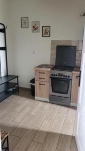 a kitchen with a stove and a counter top at Dom pod Kogutem in Sitkówka-Nowiny +10 photos