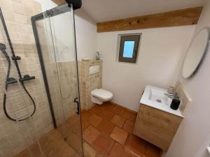 a bathroom with a shower and a toilet and a sink at Gîte avec piscine de 25 m et spa in Saint-Mathieu-de-Tréviers +26 photos
