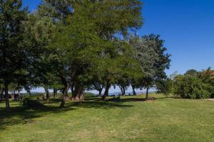 a park with trees and people sitting in the grass at Holiday home in Balatonbereny 42284 in Balatonberény
