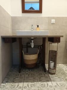 a bathroom with a sink and a basket under it at La Provende in Bard +32 photos