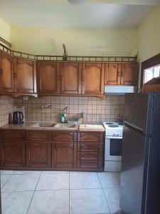 a kitchen with wooden cabinets and a sink and a refrigerator at Apartment with view at Olympus mountain in Litochoro
