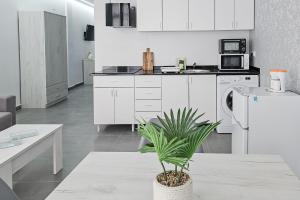 Kuchyň nebo kuchyňský kout v ubytování Ro's Lil Suites San Juan Alicante