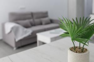 Posezení v ubytování Ro's Lil Suites San Juan Alicante
