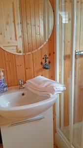 a bathroom with a sink and a shower at Thingvellir Lake Cottage in Veiðilundur