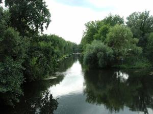 Příroda nedaleko apartmánu