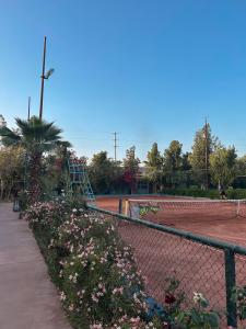 Tenis a/nebo squash v ubytování Villa FEKHARA nebo okolí