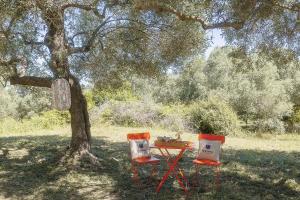 two chairs and a table under a tree at Star Sleep Kaloniktis Rethymno Olive Farm Escape in Kaloniktis