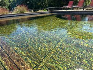 Mas des sauges في Saint-Mathieu-de-Tréviers: تجمع مياه فيه بعض الكراسي