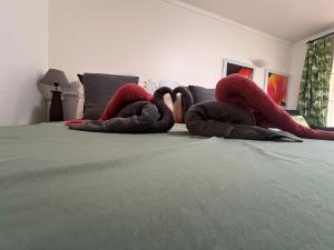 Postel nebo postele na pokoji v ubytování cœur d hibiscus P&V + 37 fotografií