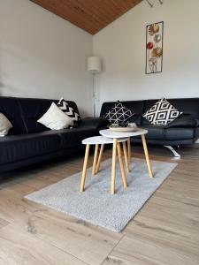 Posezení v ubytování Sauerländer Henne-Lütt