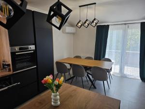 Kuchyň nebo kuchyňský kout v ubytování Apartman Ivan