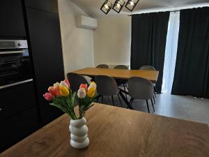 Kuchyň nebo kuchyňský kout v ubytování Apartman Ivan