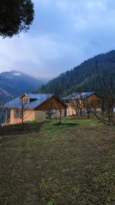 a house in the middle of a field with trees at Baserah Stay & Cafe in Mandi