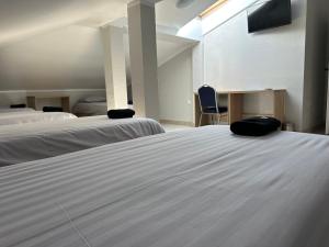 Gallery image of Hostel Radom in Radom