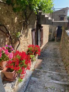 Vonkajšia záhrada v ubytovaní Casa del Capitano Rocca d'Orcia