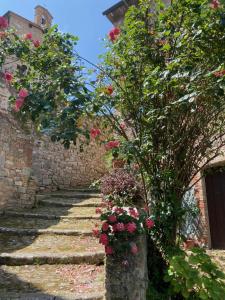 Fotografia z galérie ubytovania Casa del Capitano Rocca d'Orcia v destinácii Castiglione dʼOrcia