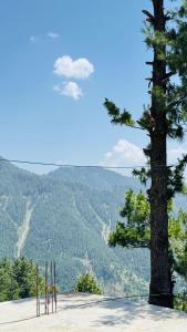 a group of skis standing next to a tree at Faimly cottages in Nathia Gali